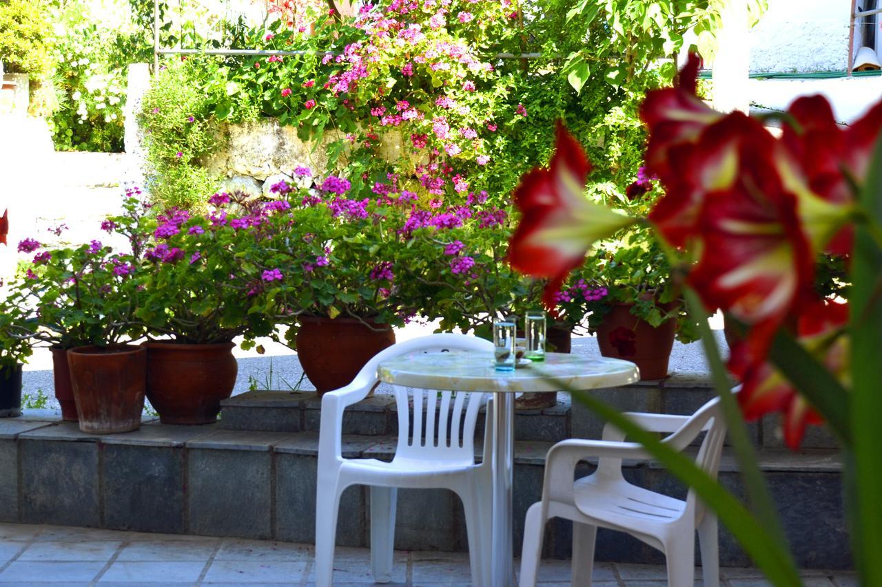 Geroulis Stefanos Studios Vasiliki Zewnętrze zdjęcie